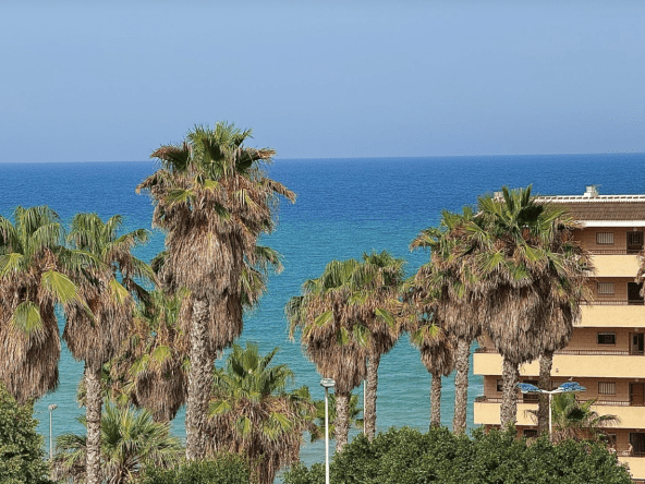 Pārdod Bungalow - Torrevieja (Cabo Cervera)